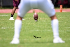 borregos-ccm-burros-blancos-onefa-2023-100