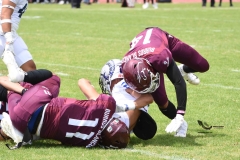 borregos-ccm-burros-blancos-onefa-2023-101