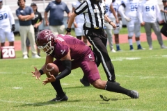 borregos-ccm-burros-blancos-onefa-2023-122