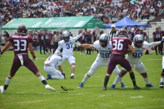 borregos-ccm-burros-blancos-onefa-2023-13