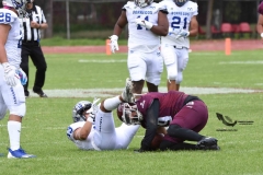 borregos-ccm-burros-blancos-onefa-2023-146