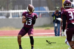 borregos-ccm-burros-blancos-onefa-2023-152