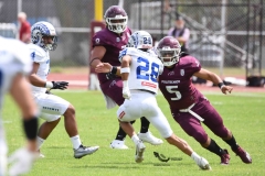 borregos-ccm-burros-blancos-onefa-2023-154