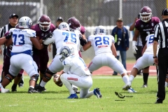 borregos-ccm-burros-blancos-onefa-2023-163
