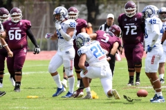 borregos-ccm-burros-blancos-onefa-2023-177