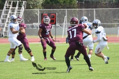 borregos-ccm-burros-blancos-onefa-2023-187