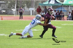 borregos-ccm-burros-blancos-onefa-2023-188