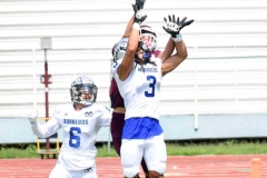 borregos-ccm-burros-blancos-onefa-2023-190