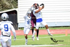 borregos-ccm-burros-blancos-onefa-2023-191