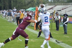 borregos-ccm-burros-blancos-onefa-2023-2