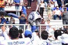 borregos-ccm-burros-blancos-onefa-2023-200