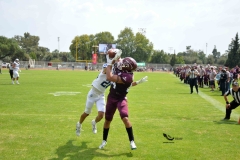 borregos-ccm-burros-blancos-onefa-2023-21