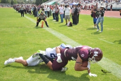 borregos-ccm-burros-blancos-onefa-2023-24