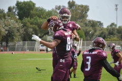 borregos-ccm-burros-blancos-onefa-2023-25