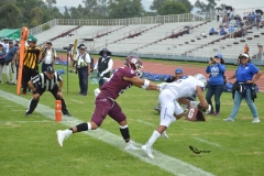 borregos-ccm-burros-blancos-onefa-2023-3