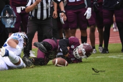 borregos-ccm-burros-blancos-onefa-2023-46