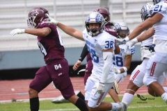 borregos-ccm-burros-blancos-onefa-2023-49