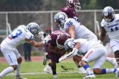 borregos-ccm-burros-blancos-onefa-2023-63