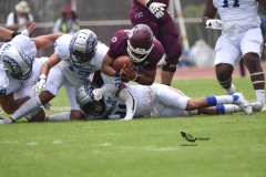 borregos-ccm-burros-blancos-onefa-2023-64