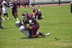 borregos-ccm-burros-blancos-onefa-2023-7