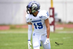 borregos-ccm-burros-blancos-onefa-2023-77