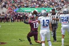 borregos-ccm-burros-blancos-onefa-2023-8