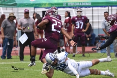 borregos-ccm-burros-blancos-onefa-2023-83