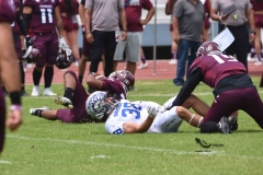 borregos-ccm-burros-blancos-onefa-2023-84