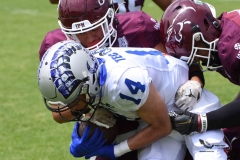 borregos-ccm-burros-blancos-onefa-2023-87