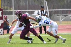 borregos-ccm-burros-blancos-onefa-2023-97