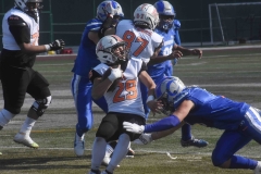 borregos-cem-leones-anahuac-2021-27