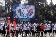 borregos-cem-leones-anahuac-2021-5