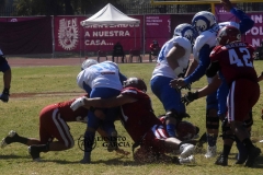 1-13