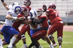 borregos-mty-aguilas-blancas-onefa-2024-25