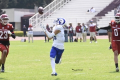 borregos-mty-aguilas-blancas-onefa-2024-66