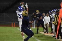 borregos-pue-pumas-cu-2024-onefa-105