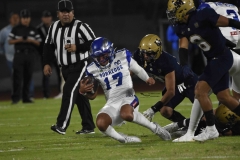 borregos-pue-pumas-cu-2024-onefa-11