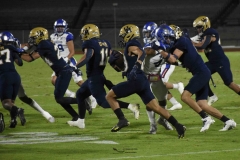 borregos-pue-pumas-cu-2024-onefa-214
