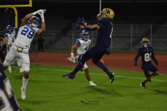 borregos-pue-pumas-cu-2024-onefa-250