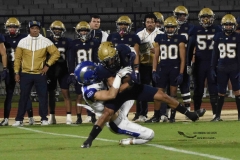 borregos-pue-pumas-cu-2024-onefa-34