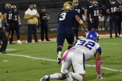borregos-pue-pumas-cu-2024-onefa-54