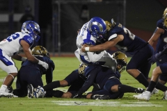 borregos-pue-pumas-cu-2024-onefa-61