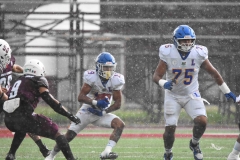 buhos-ipn-lobos-uadec-onefa-2025-11