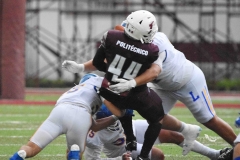 buhos-ipn-lobos-uadec-onefa-2025-111