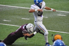 buhos-ipn-lobos-uadec-onefa-2025-116