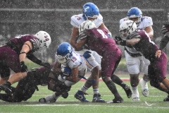 buhos-ipn-lobos-uadec-onefa-2025-12