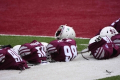 buhos-ipn-lobos-uadec-onefa-2025-2