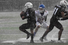 buhos-ipn-lobos-uadec-onefa-2025-20