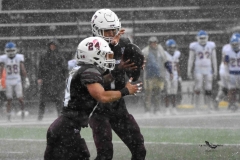 buhos-ipn-lobos-uadec-onefa-2025-23