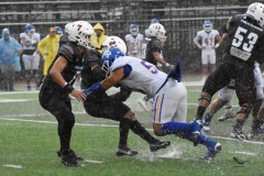 buhos-ipn-lobos-uadec-onefa-2025-27